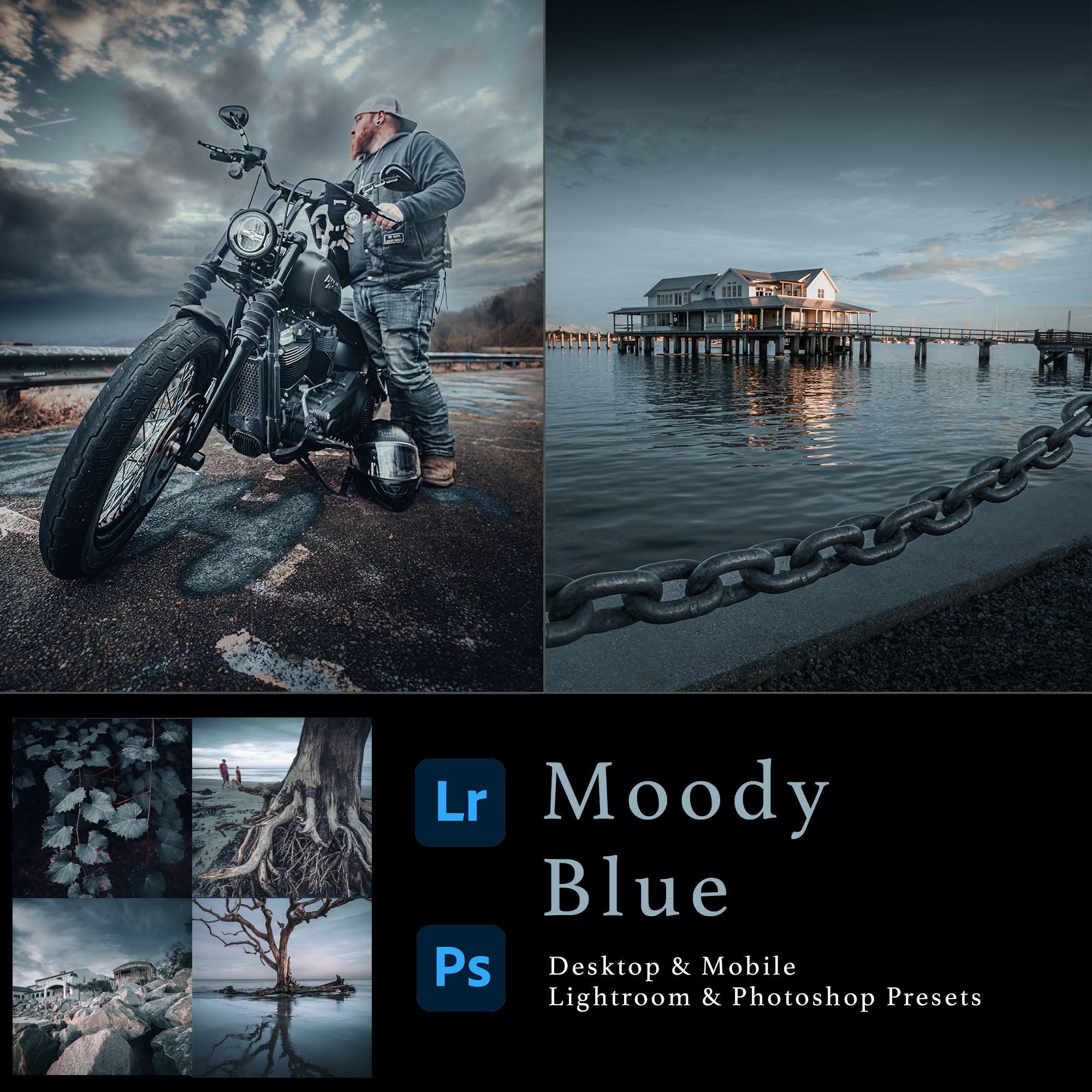 moodyblue5